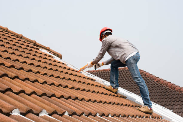 Best Storm Damage Roof Repair  in Edwardsburg, MI